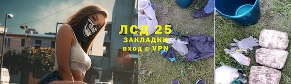 ПСИЛОЦИБИНОВЫЕ ГРИБЫ Касимов