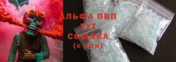 ПСИЛОЦИБИНОВЫЕ ГРИБЫ Касимов