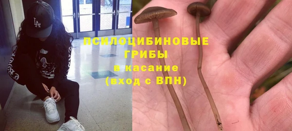 кристаллы Карпинск