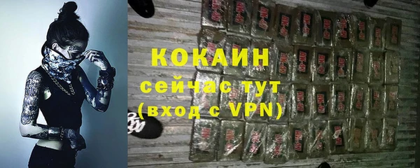 ПСИЛОЦИБИНОВЫЕ ГРИБЫ Касимов