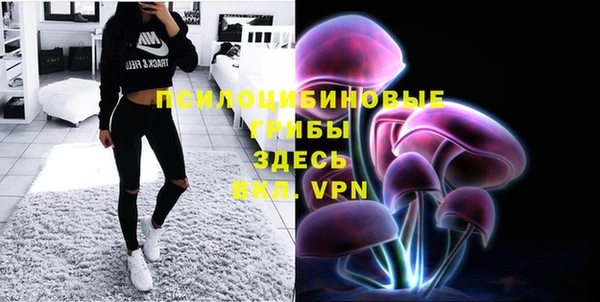 ПСИЛОЦИБИНОВЫЕ ГРИБЫ Касимов