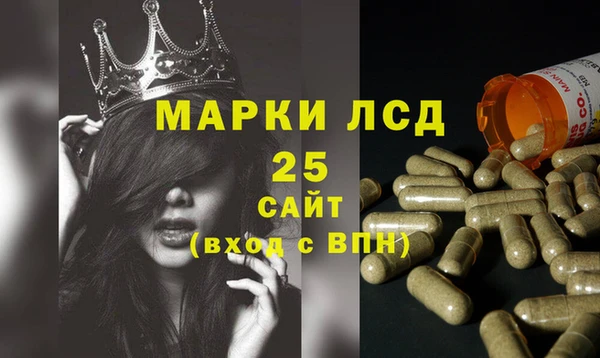 ПСИЛОЦИБИНОВЫЕ ГРИБЫ Касимов